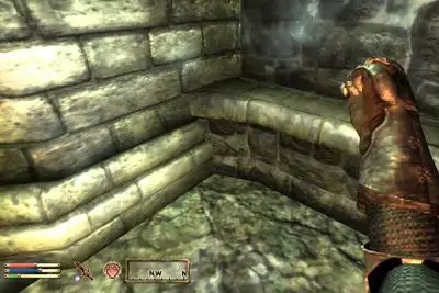 Elder Scrolls IV: captura de tela do esquecimento