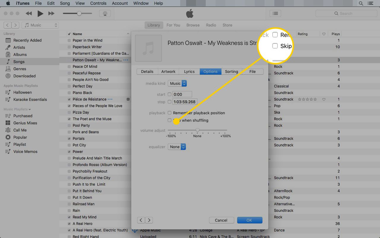 Guia Opções no menu Informações da música no iTunes com a caixa "Ignorar ao embaralhar" destacada