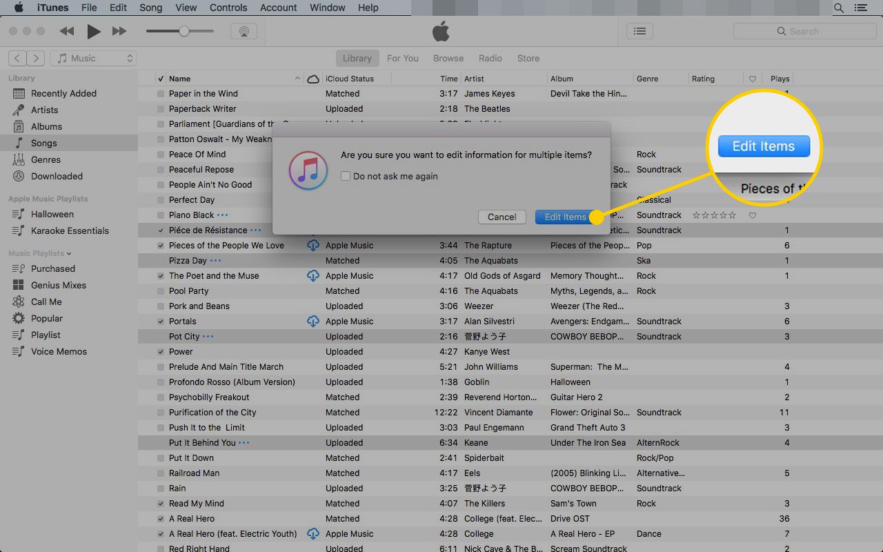 Uma caixa de diálogo no iTunes com o botão Editar Itens destacado