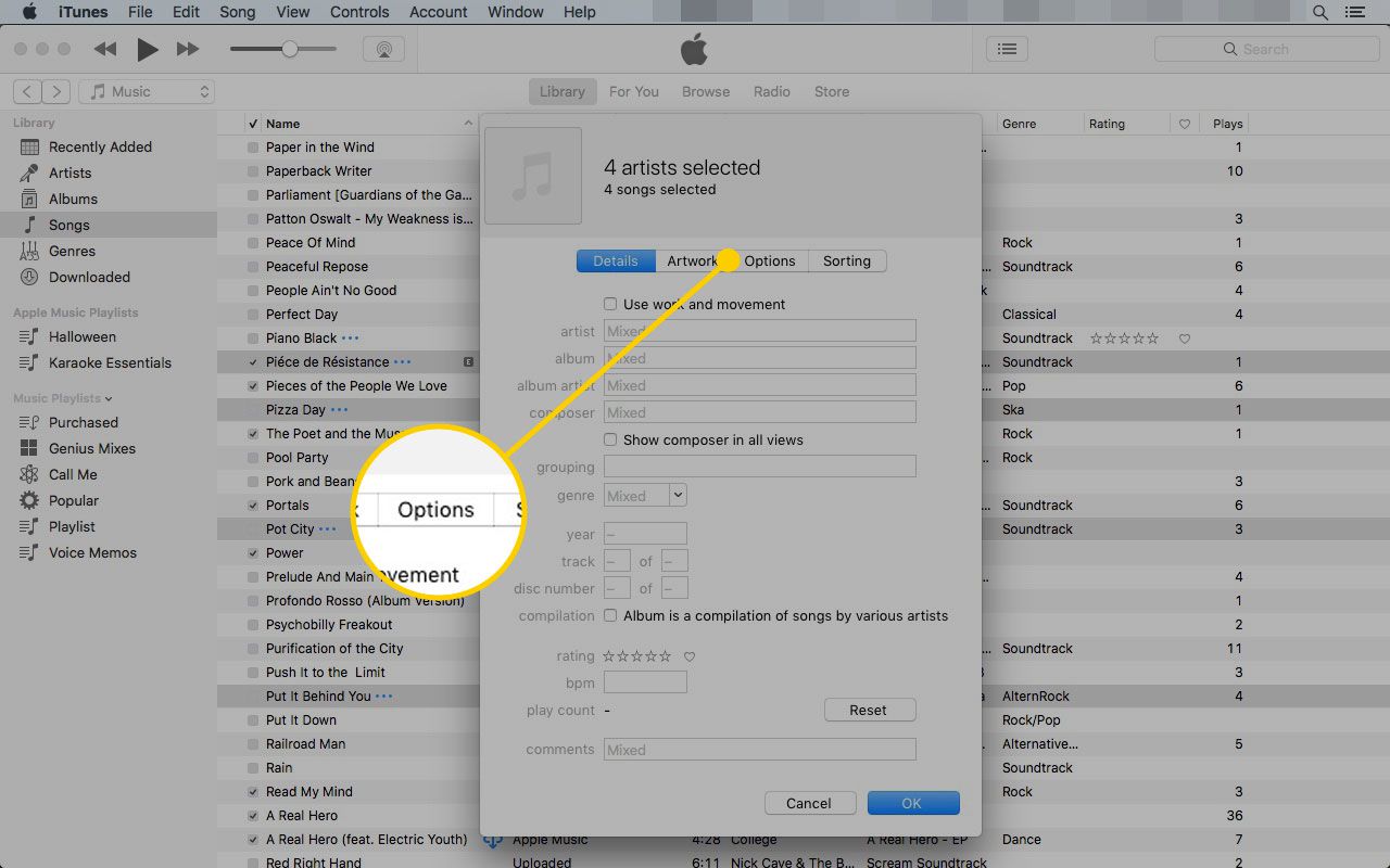 Guia Opções no menu Obter Informações do iTunes