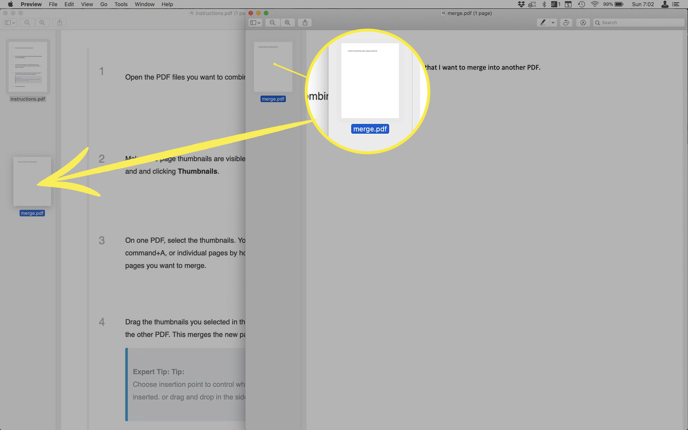 Captura de tela da combinação de PDFs na visualização.
