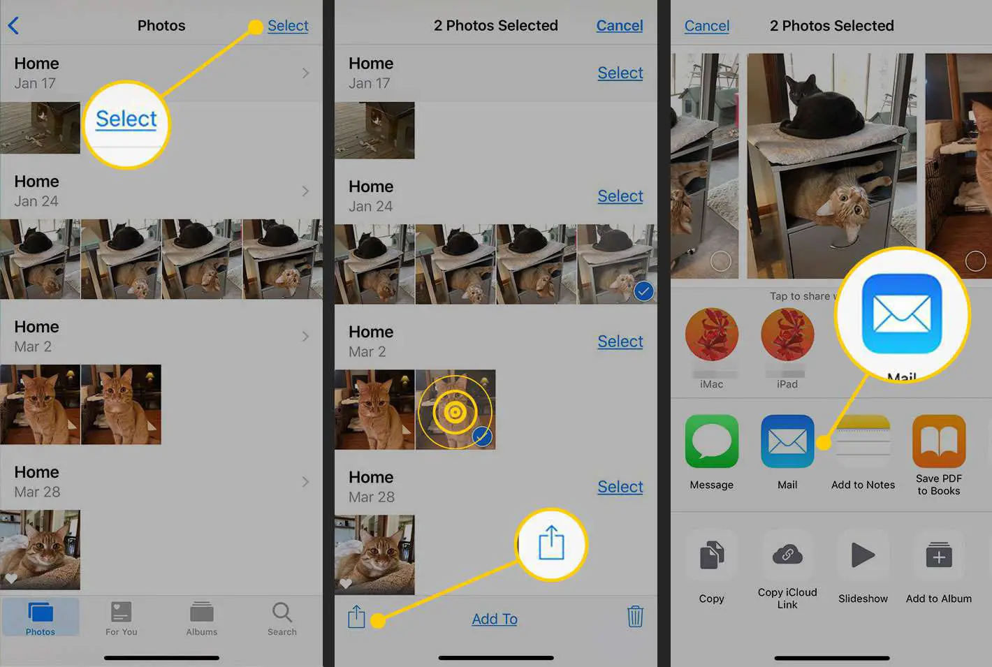 O aplicativo Fotos em um iPhone com Selecionar, o botão de upload e os ícones do Mail destacados
