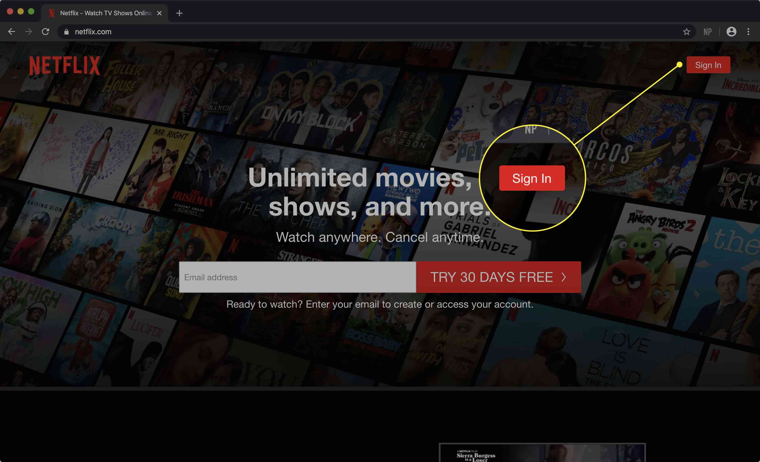 Uma captura de tela do site da Netflix com o botão Sign In destacado