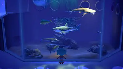 Animal Crossing: Aquário tanque de tubarões New Horizons