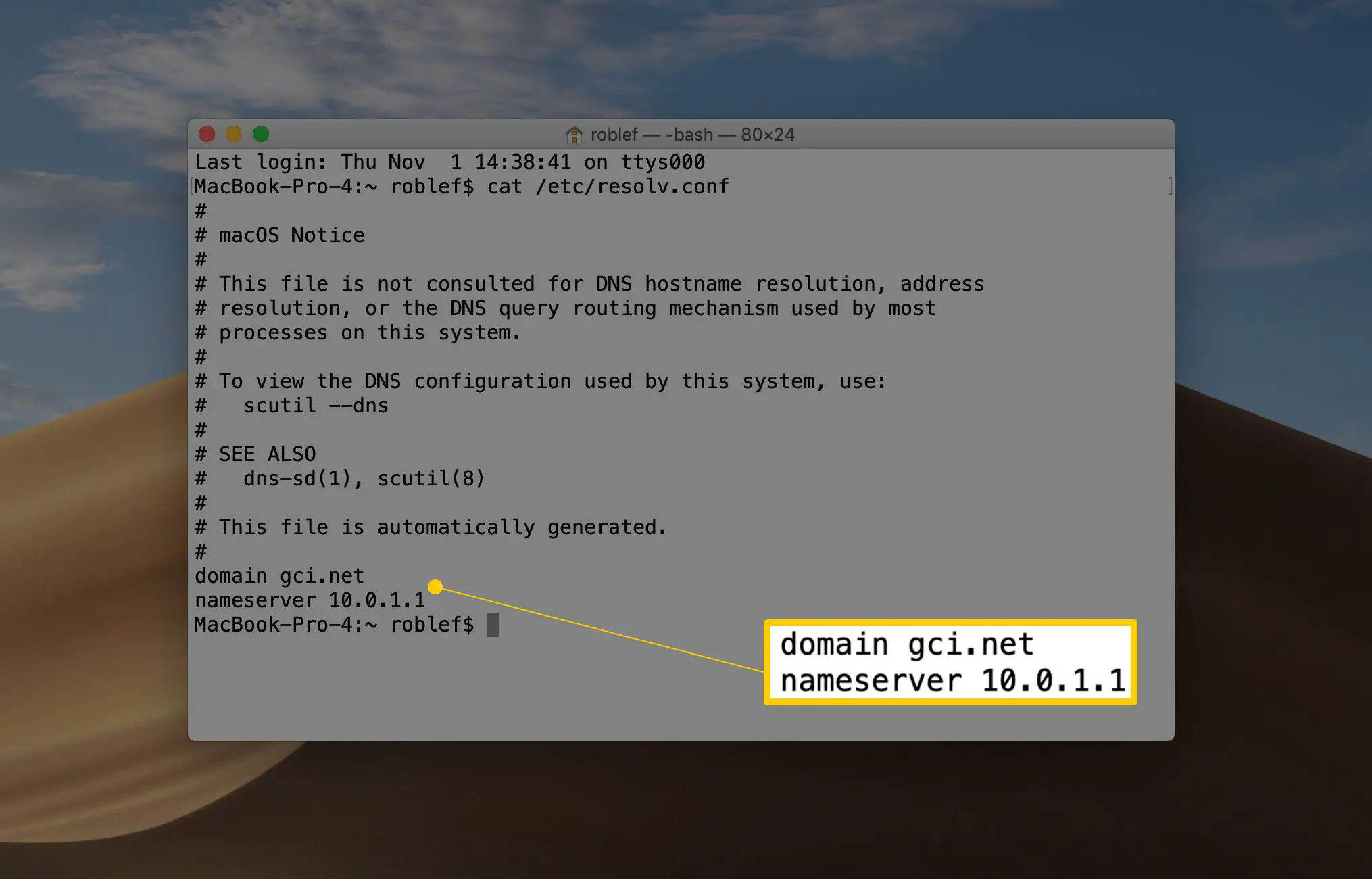 Janela do MacOS Terminal mostrando o resultado do comando cat /etc/resolv.conf, domínio e servidor de nomes