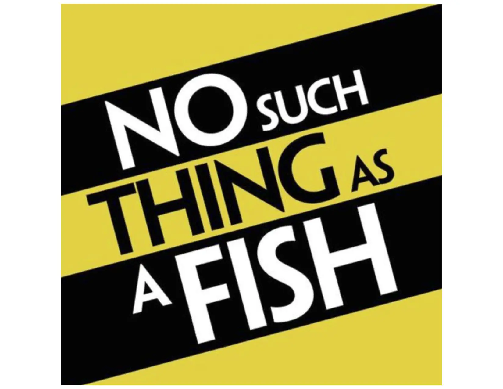 Não existe tal coisa como um podcast de comédia sobre peixes