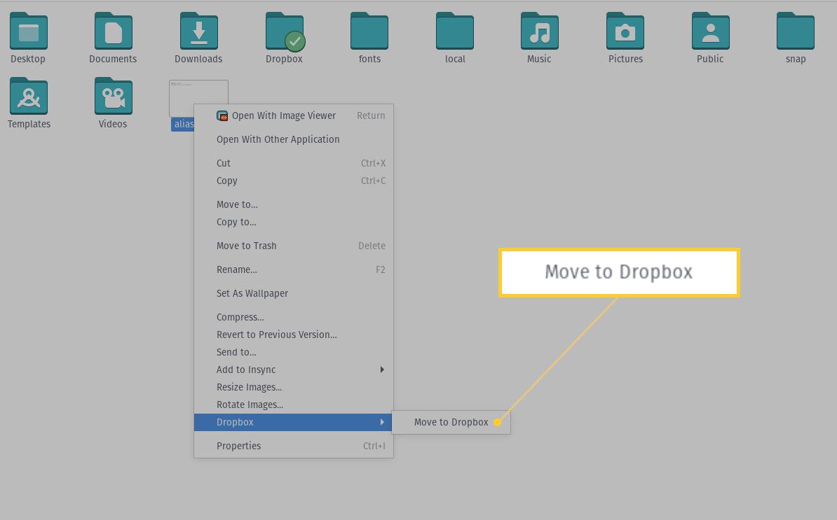 Captura de tela de como mover um arquivo para o diretório do Dropbox.