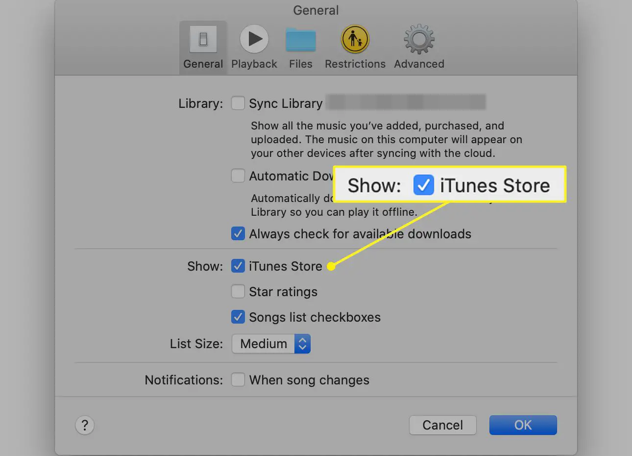 Preferências gerais de música com Mostrar iTunes Store marcada