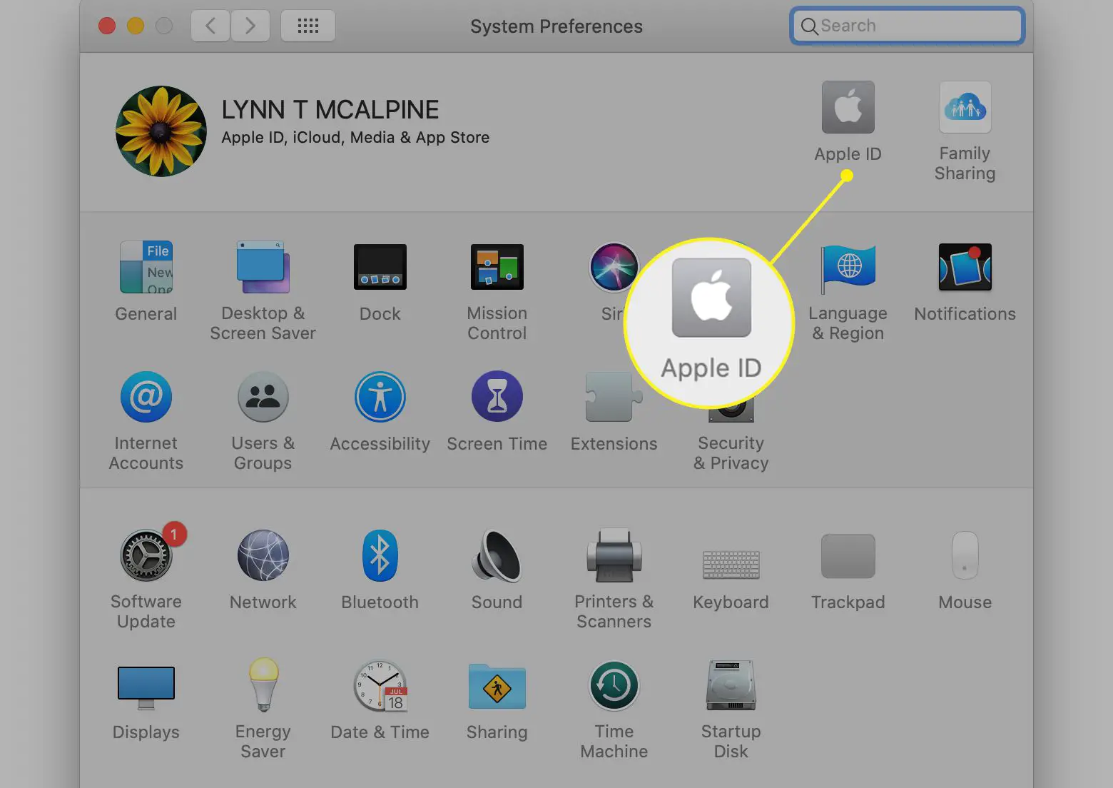 ID Apple selecionado nas Preferências do Sistema Mac