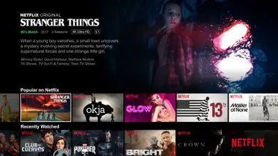 Tela inicial da Netflix com uma descrição do programa Stranger Things