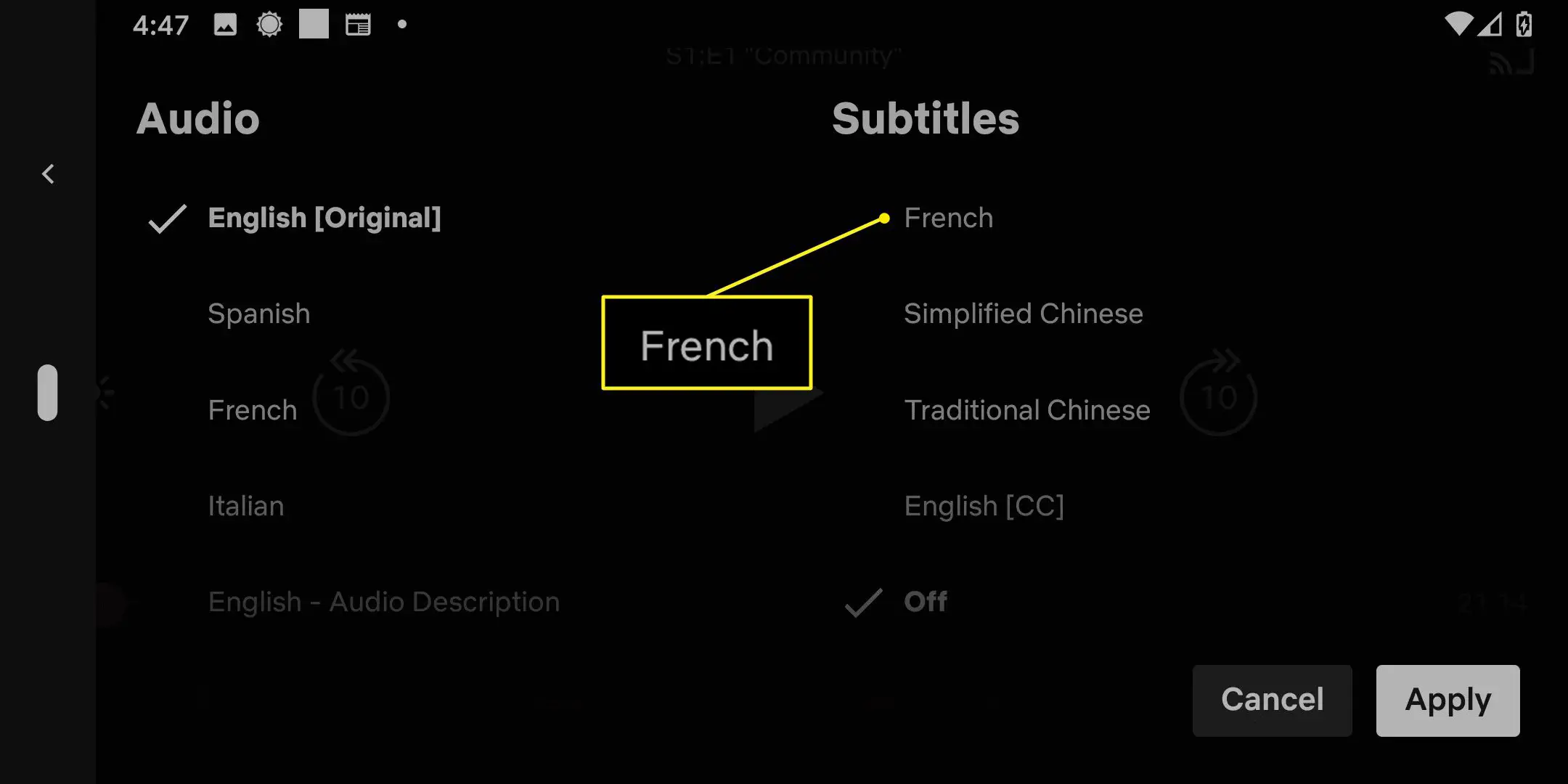 Opções de legenda no aplicativo Netflix com o francês destacado.