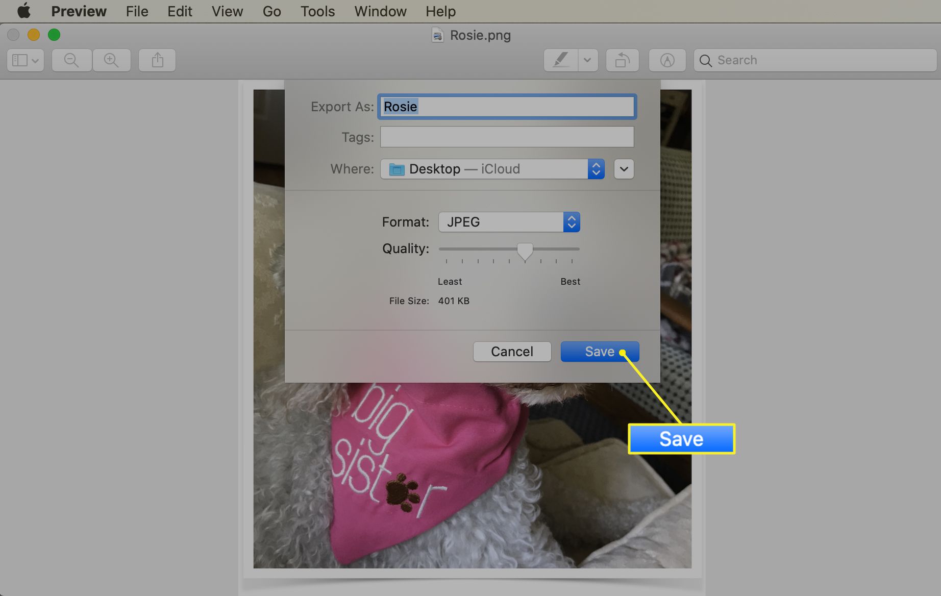 Salvar como tela JPEG no aplicativo Mac Preview