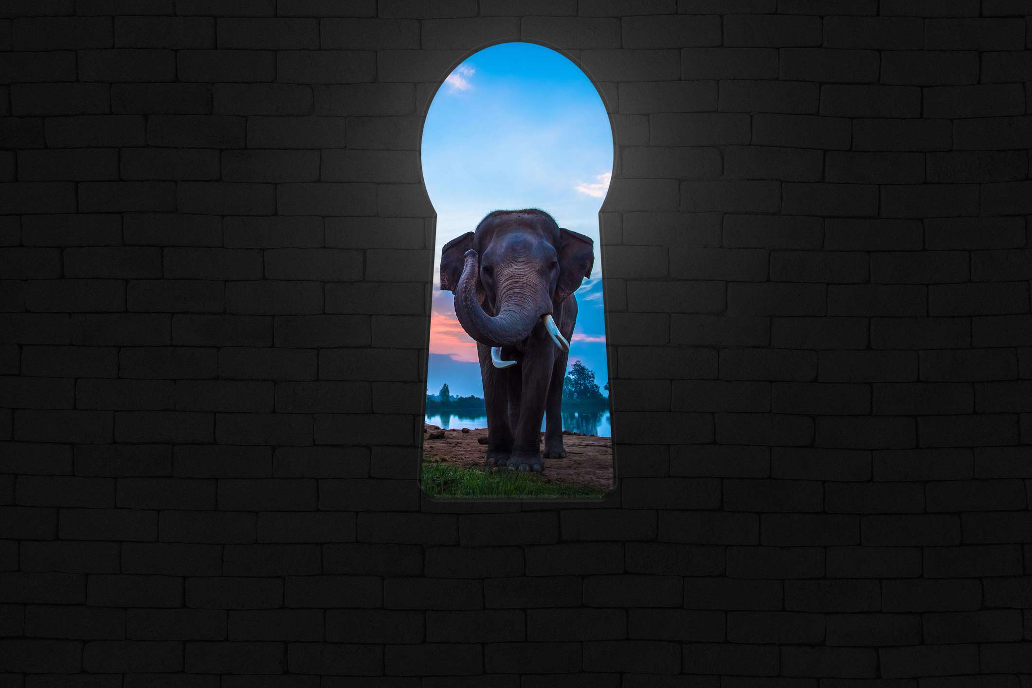 Um elefante sendo visto através de uma abertura em forma de fechadura em uma parede de tijolos