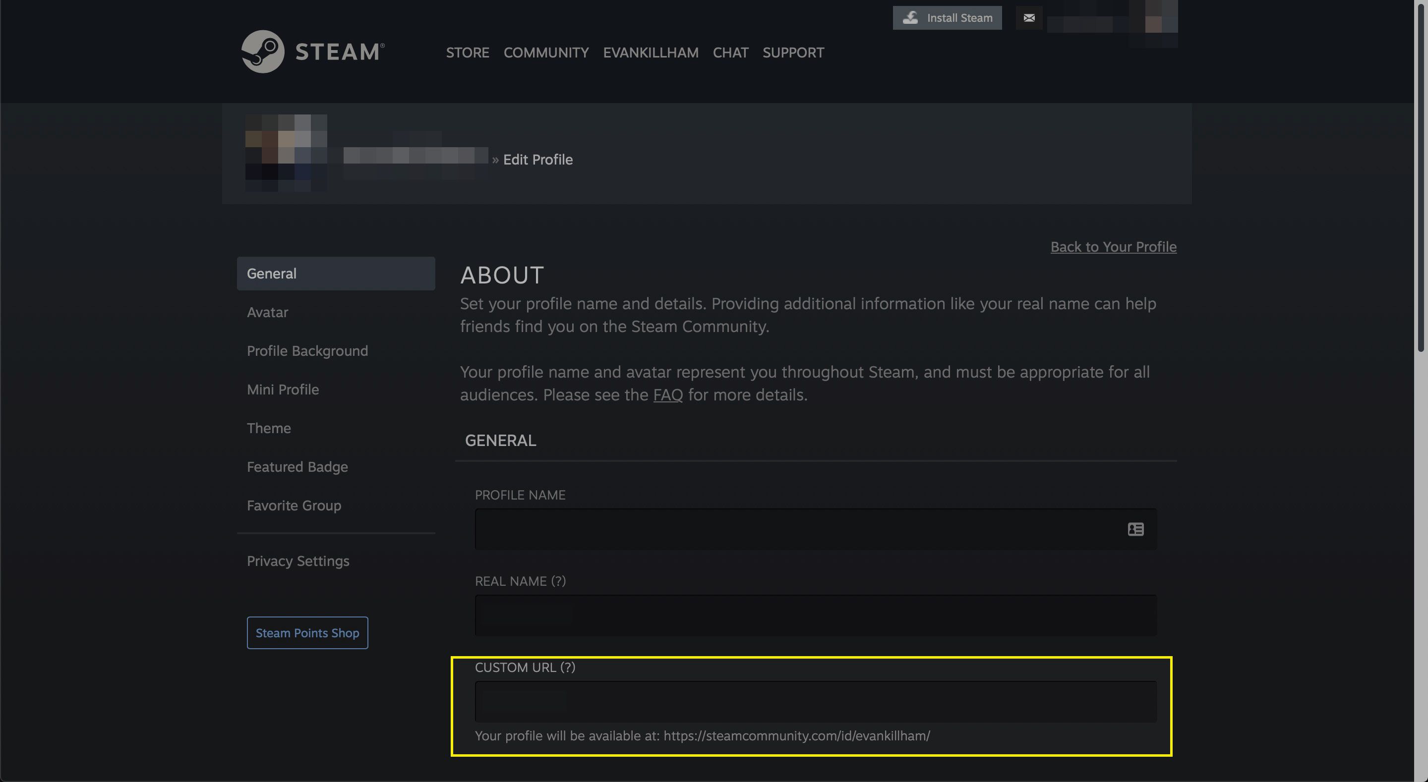 O campo URL personalizado em um perfil Steam