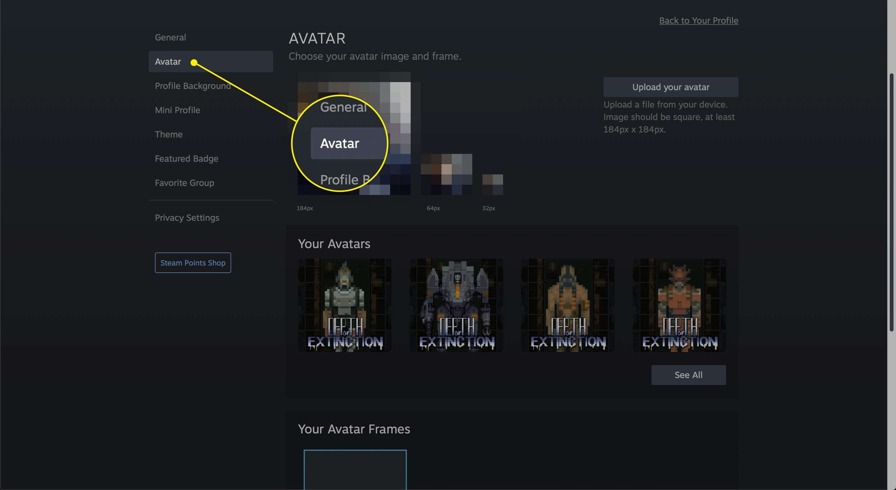 O item Avatar em um perfil Steam