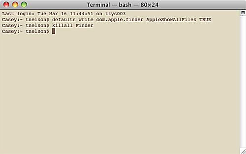 Interface do Terminal Mac