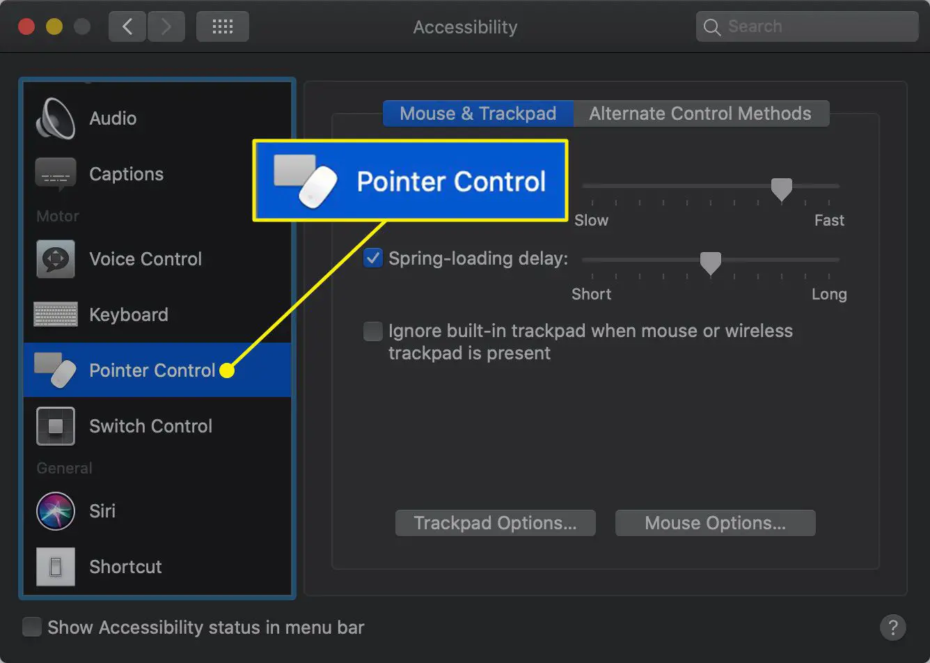 Controle de ponteiro nas configurações de acessibilidade do macOS