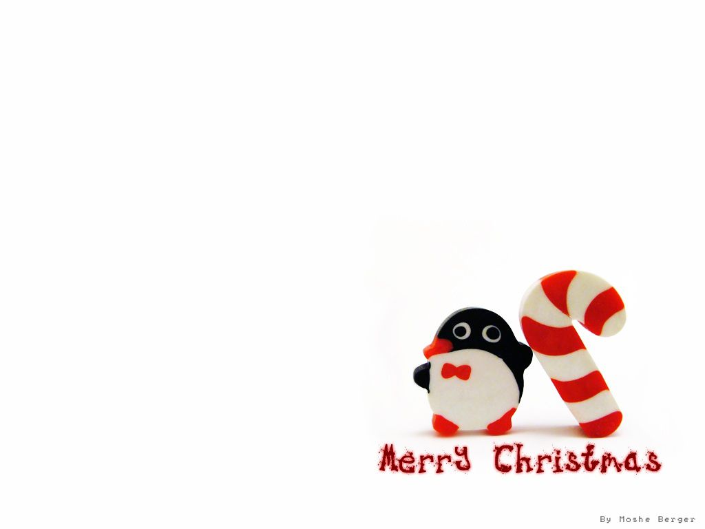 Papel de parede de Natal grátis com um pequeno pinguim e uma bengala de doces em um fundo branco