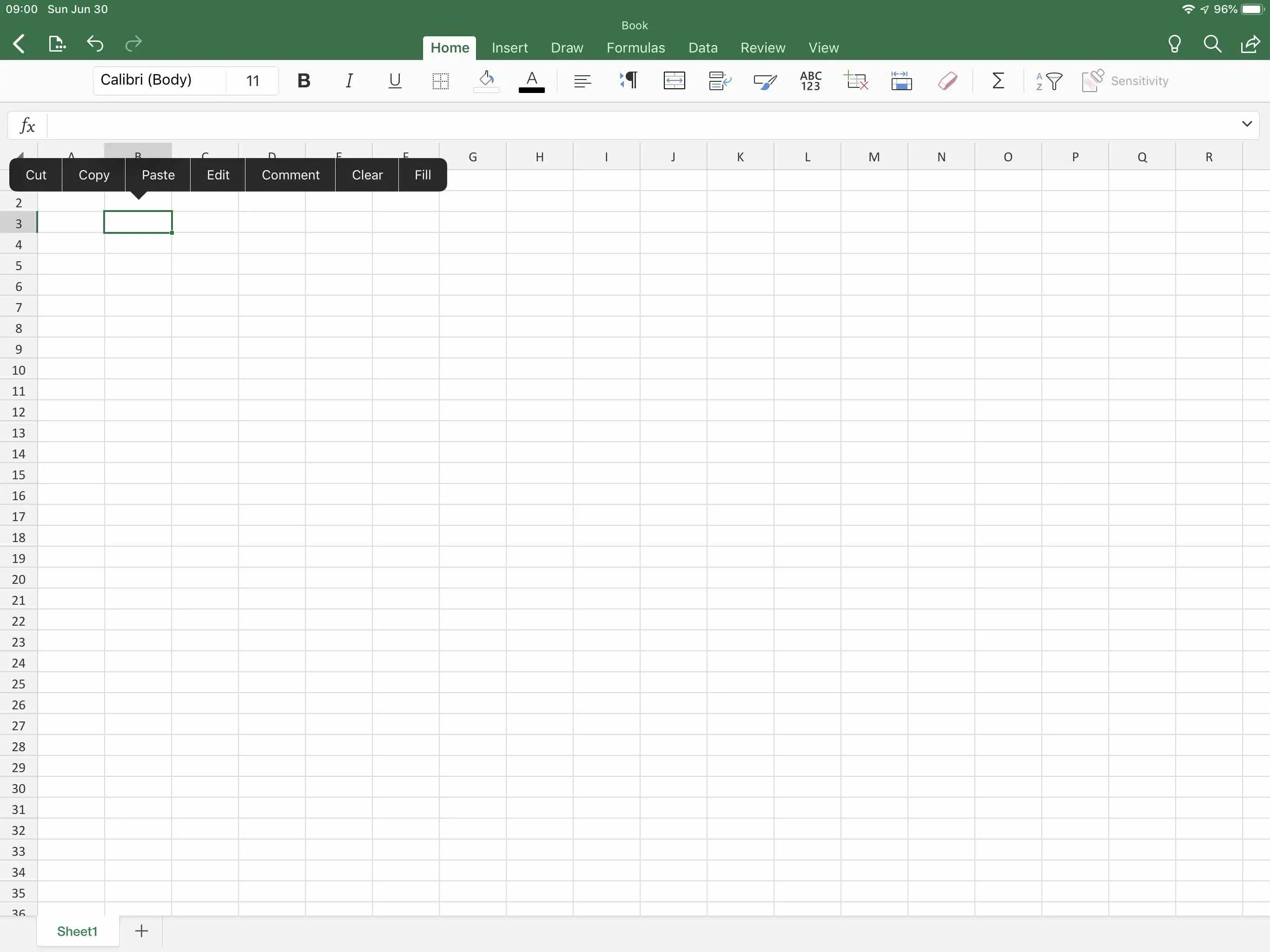 Captura de tela do Excel no iPad, com o celular tocado e as opções "Cortar, Copiar, Colar" exibidas.  Toque em colar para inserir o conteúdo da área de transferência na célula selecionada.