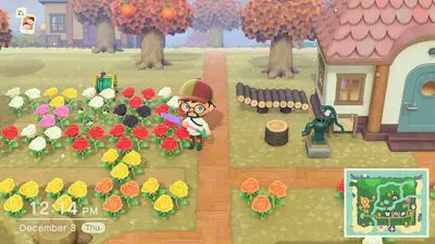 Flores de criação de personagens de Animal Crossing