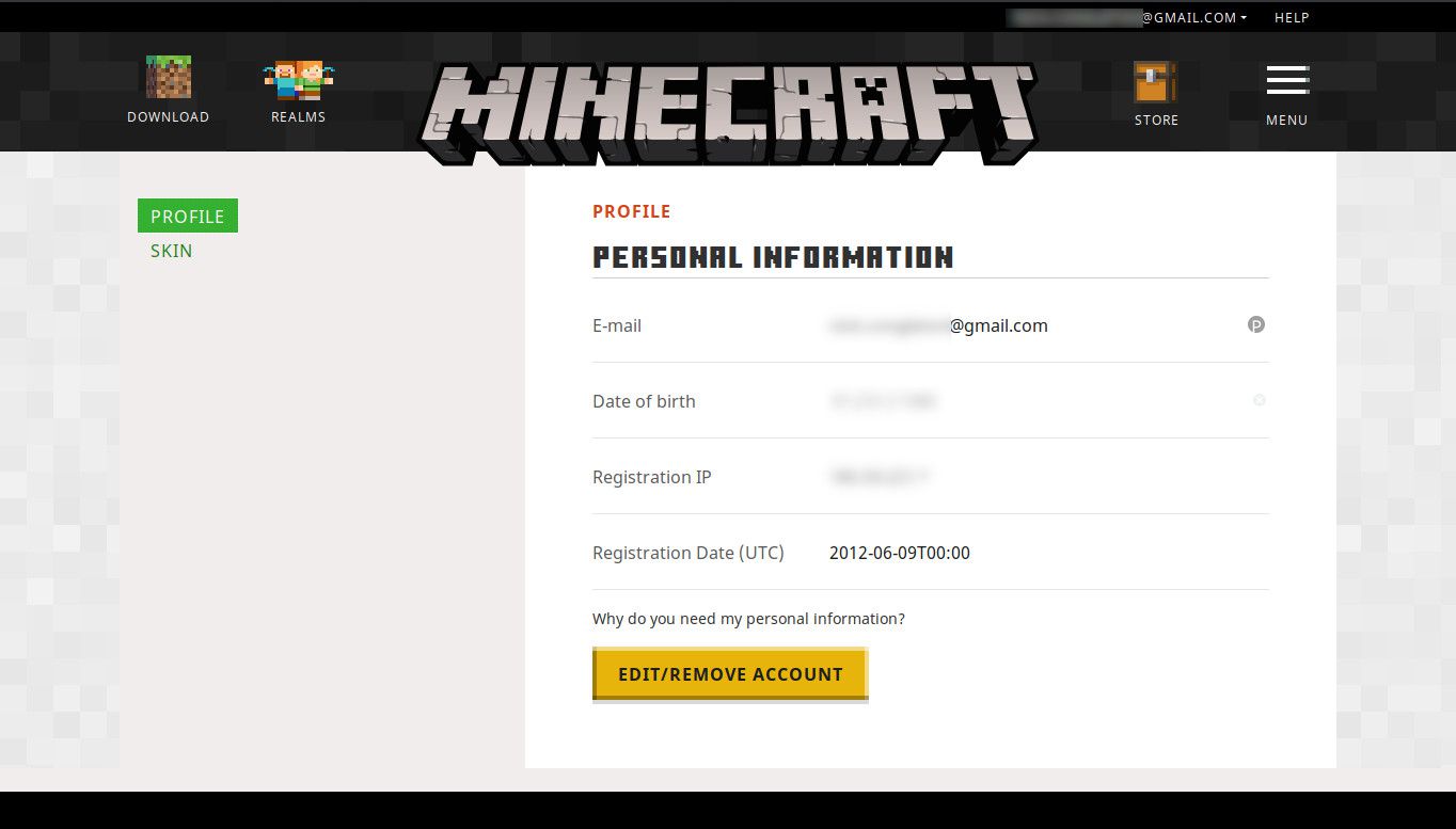 Perfil Minecraft