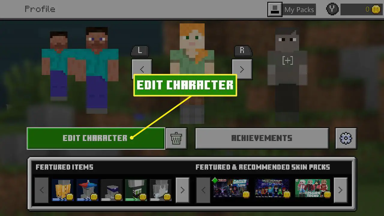 Você também pode comprar skins do Minecraft acessando o perfil do seu personagem