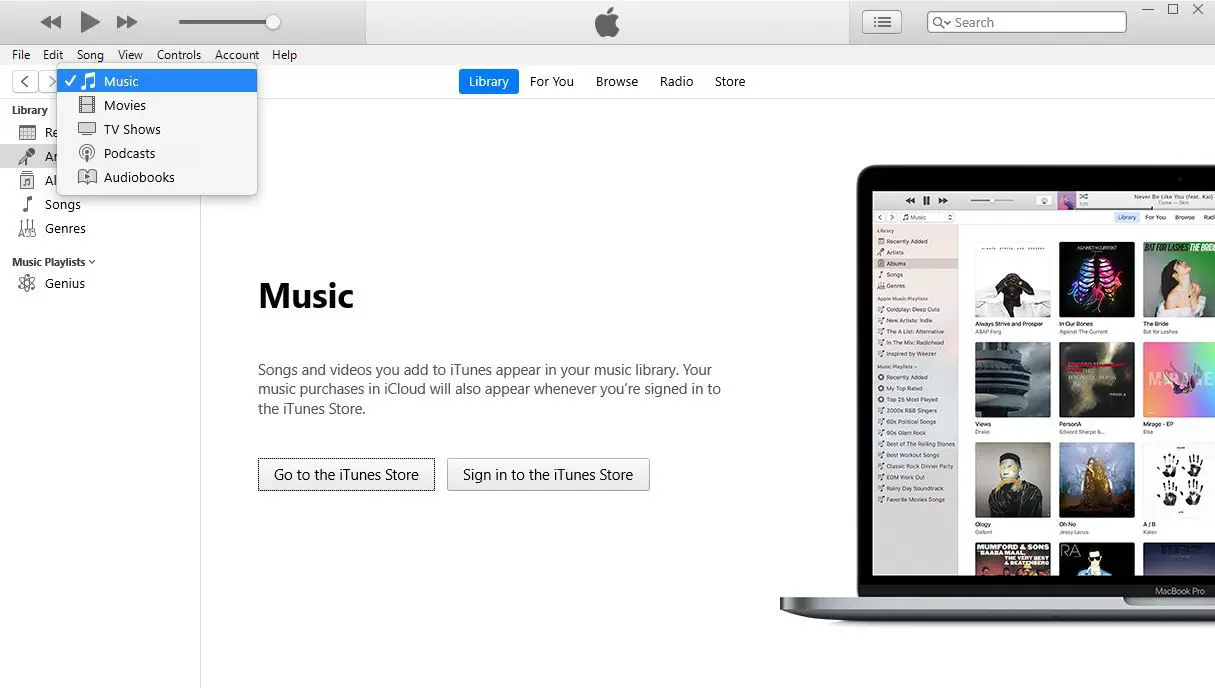 Uma captura de tela da tela do iTunes Music