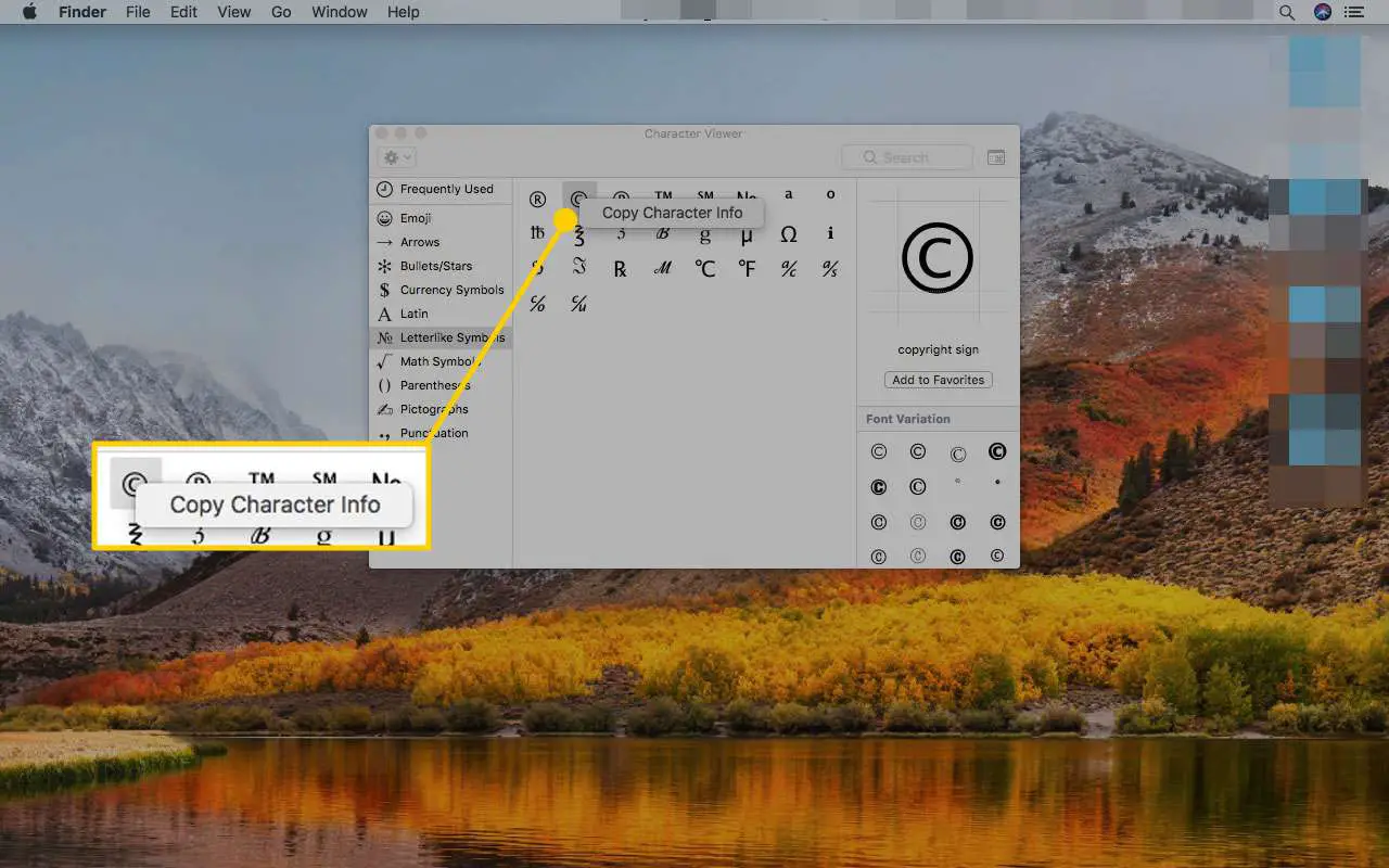 Menu de emojis e símbolos em um Mac com a caixa Copiar informações do personagem destacada