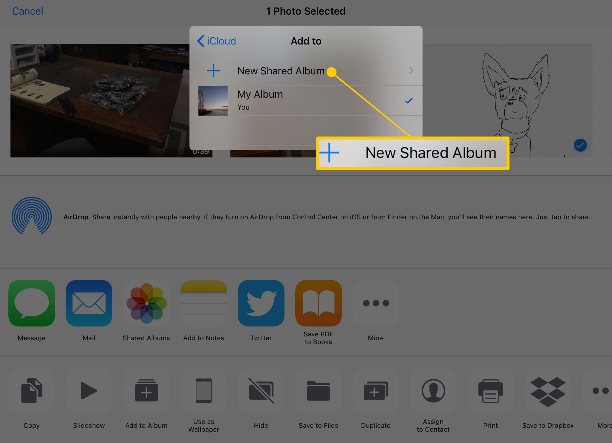 Criar um novo álbum compartilhado no iPad