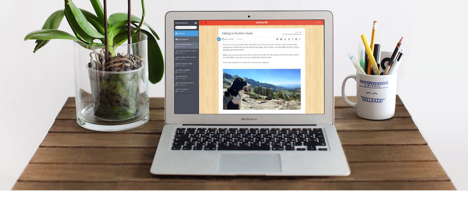 Uma captura de tela do aplicativo Penzu em um laptop.