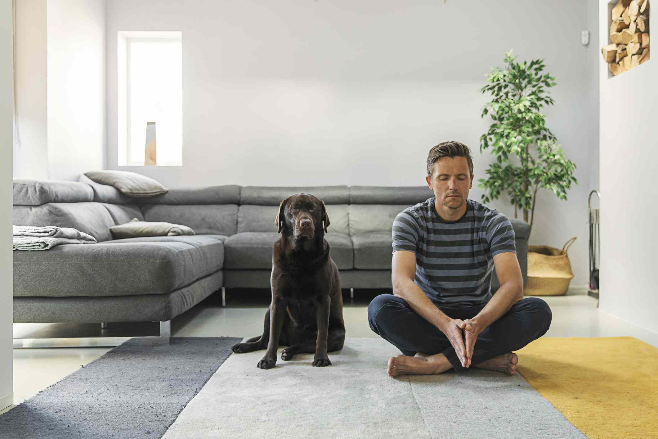 Uma pessoa meditando em sua sala de estar com um cachorro sentado pacientemente nas proximidades. 
