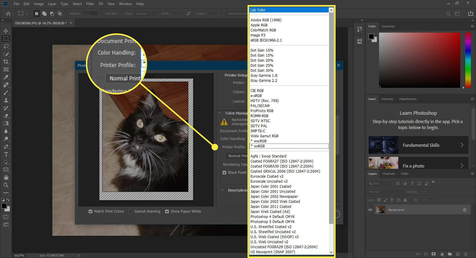 Uma captura de tela da janela Imprimir do Photoshop com as opções do Perfil da Impressora destacadas
