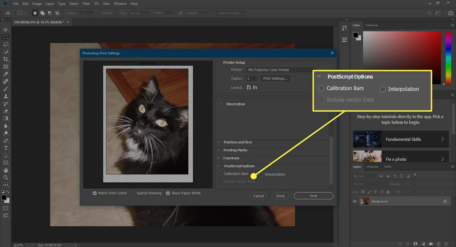 Uma captura de tela da janela Imprimir do Photoshop com as Opções PostScript destacadas