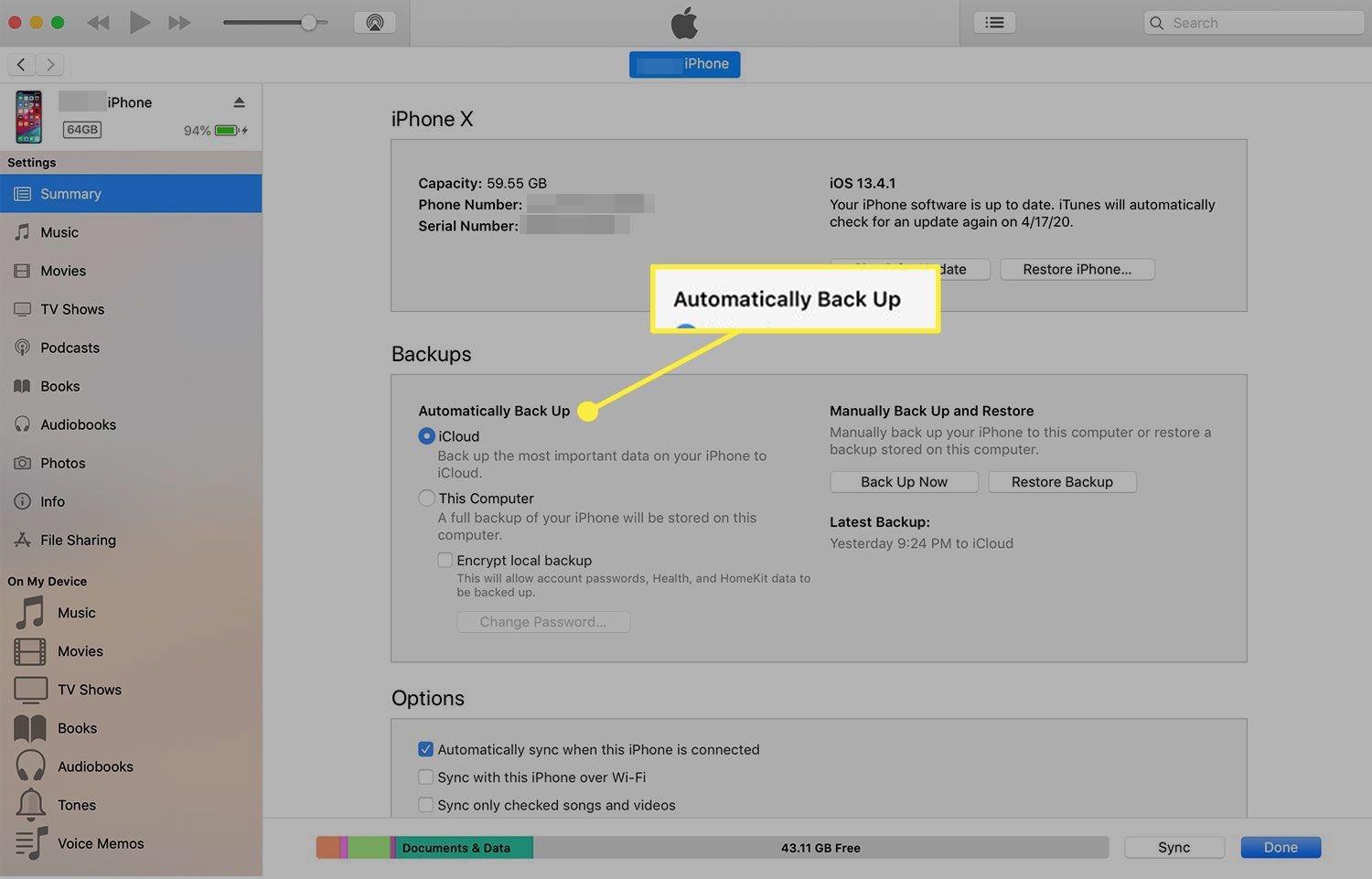 tela do dispositivo iTunes com o "Backup automático" título destacado