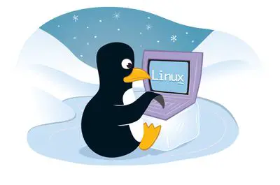 O pinguim Tux é o mascote oficial do Linux.