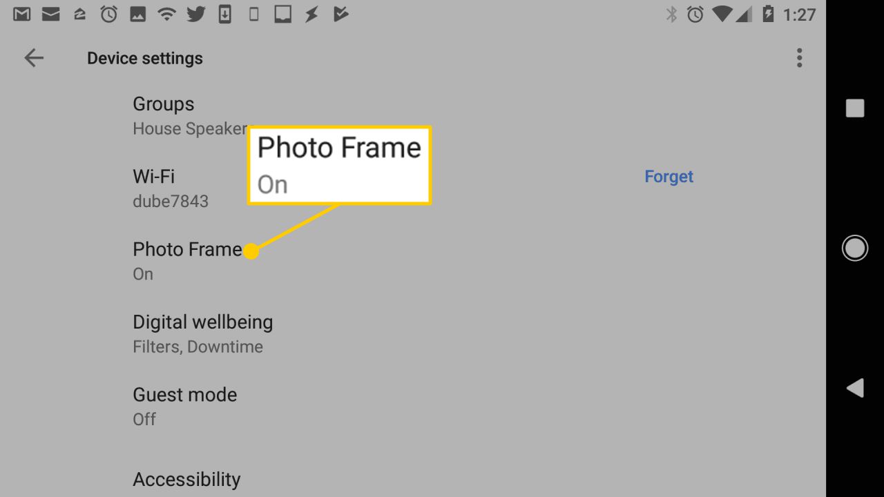 Página de configurações do dispositivo Google Home com porta-retratos selecionada