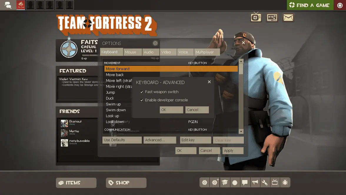 Uma captura de tela do menu de opções avançadas do TF2.