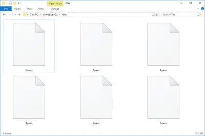 Captura de tela de vários arquivos PEM no Windows 10