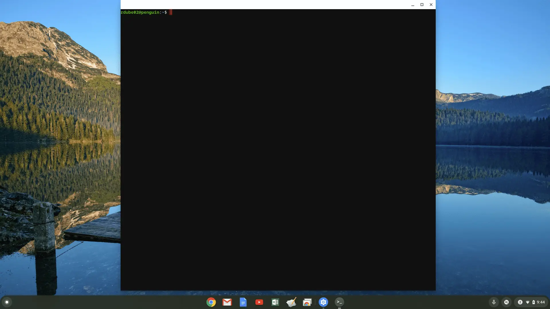 Captura de tela do terminal Linux no Chromebook