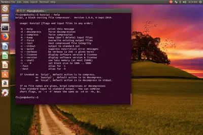 informações de comando do Ubuntu bunzip2